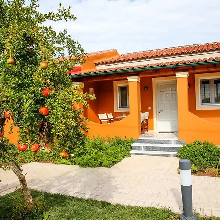 Navigator - أخارافي