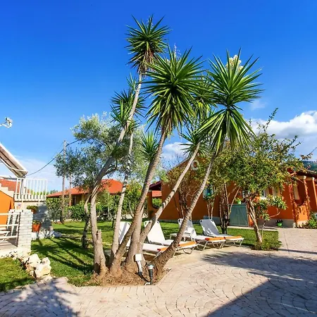 Navigator - アカラヴィ