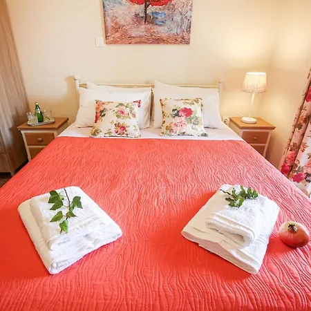 Navigator - アカラヴィ